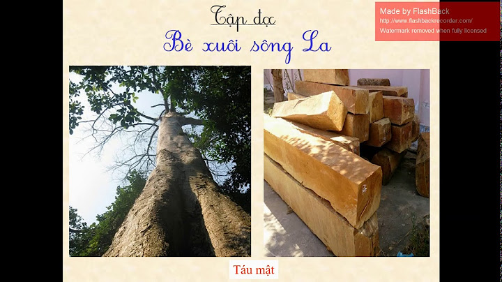 Nội dung bài tập đọc bè xuôi sông la