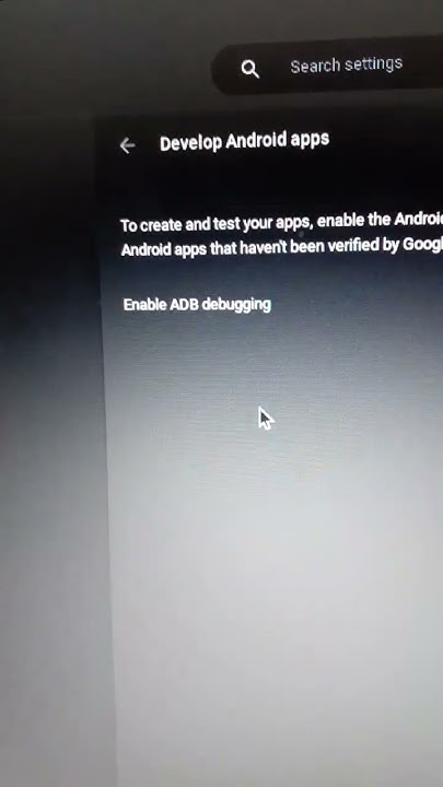 how-to-get-sonic-3-air-on-chromebook-no-dev-mode-sonic3air