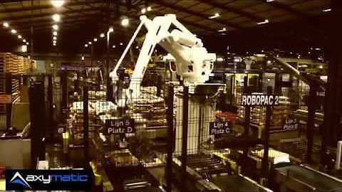 Axymatic SMART Palletiser with Custom Made Bag gripper