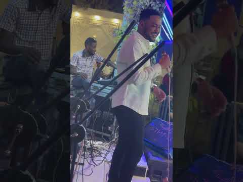 دبدوب سيد التريند ليلاليلالالالا نوري الجنا زفة قولدن استار