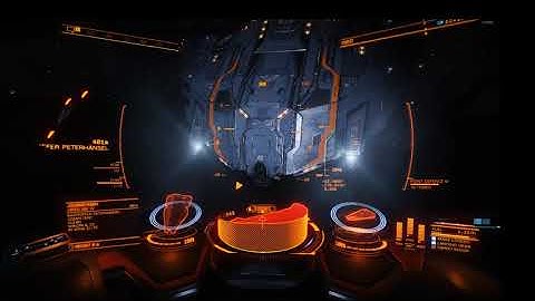 ELITE DANGEROUS Player meets NPC