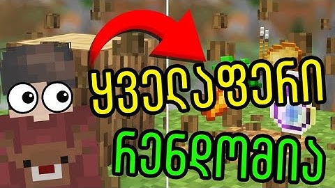 Minecraft მაგრამ ბლოკები მაძლევს რენდომ ნივთებს | Minecraft But Blocks Drop Random Items