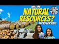Natural and Synthetic Resources