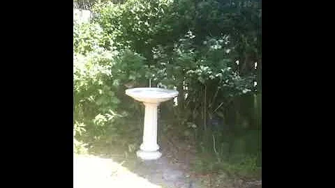 From artist Cherie Bender's Backyard!