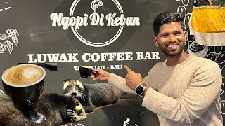 Kopi Luwak Coffee | Civet Cofee | Coffee made from p**p | Indonesia