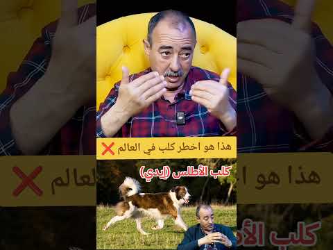 الدركي سابق طاهر سعدون اخطر كلب غي العالم هو الكلب المغربي إيدي الاطلسي