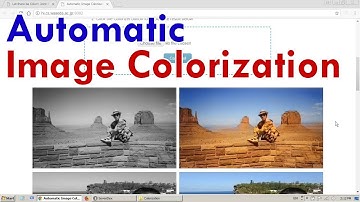 Automatic Image Colorization