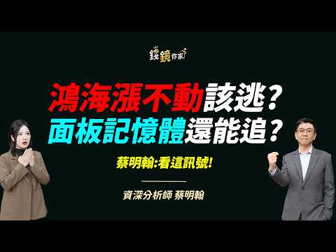 【錢鏡你家】「大象」鴻海跌破均線要逃嗎？蔡明翰點名3檔黑馬股補漲