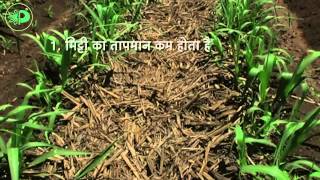 Parijat Sugarcane Tutorial (Hindi) Parijat Sugarcane Tutorial (Hindi)