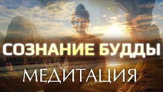 Медитация МИСТИКОВ. Тайный покой Будды. Пробуждение центра. screenshot 2