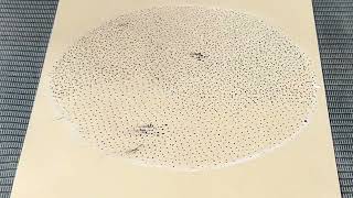 Session 2: Increasing Density (Exercise on Fake Skin)