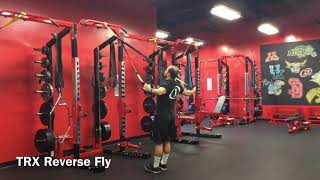 TRX Reverse Fly