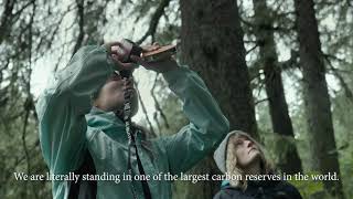 UNDERSTORY | Film Trailer