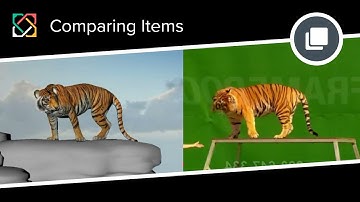 SyncSketch – Comparing Items