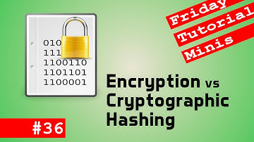 Encryption vs Cryptographic Hash - Friday Minis 36