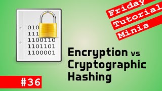 Encryption vs Cryptographic Hash - Friday Minis 36