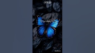 #سورة يوسف #واستبقا الباب وقدت قميصه من دبره بصوت الشيخ سيد سعيد #
