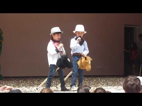 მხედრები