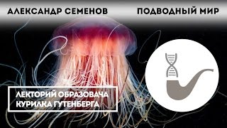Александр Семенов - Подводный мир холодных морей