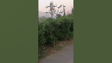 صوت القرآن الكريم أجمل الاصوات ❤️🌹 #اكسبلور 🌹♥️ 🌹اللهم اجعل القرآن ربيع قلوبنا ونور صدورنا ❤️