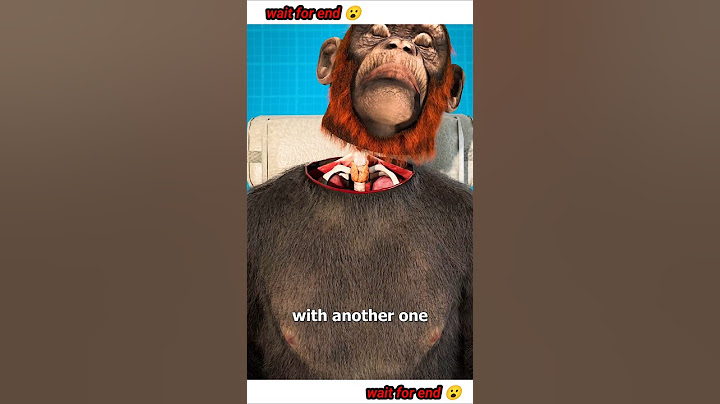 Monkey Head Transplant 🐒 (explained)