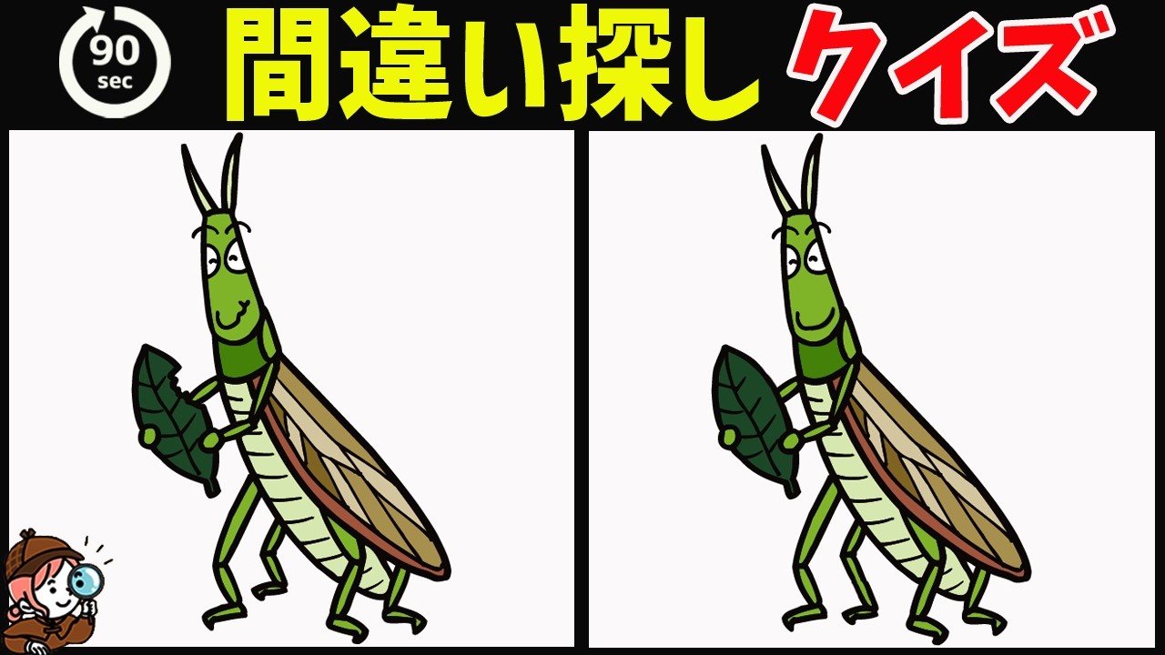 【間違い探しクイズ】無料脳トレ動画で脳が若返り！イラスト間違い探しで楽しく頭の体操【老化防止/認知症予防に最適】