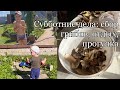 ХОДИЛИ ЗА ГРИБАМИ🍄ЖАРИЛИСЬ НА СОЛНЦЕ ☀️ ГУЛЯЛИ В ПАРКЕ