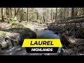 The Laurel Highlands with a Special Guest - 70 Miles