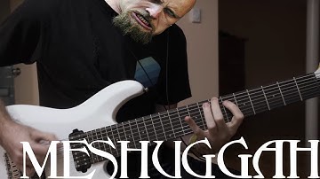 Do Not Look Down - Meshuggah (Guitar Cover)