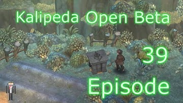 Gytis Settlement Area ~ Tree Of Savior Kalipeda Open Beta Episode 39