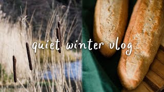 Quiet Winter Vlog | Baking Baguettes | Making Cold Process Soap | Lake Walk by Eighteen and Cloudy 222 views 3 months ago 16 minutes