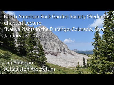 "Native Plants in the Durango, Colorado, Area"