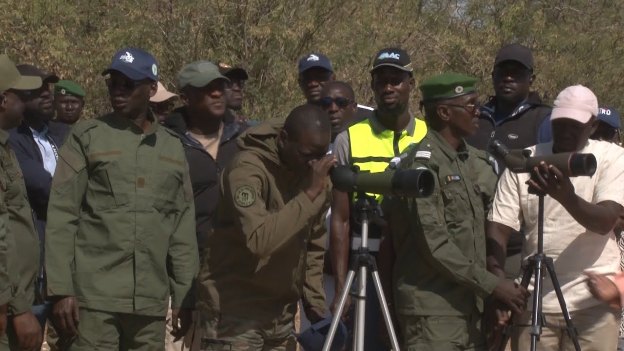 Protection espèces rares : Gueumbeul au cœur de la stratégie nationale