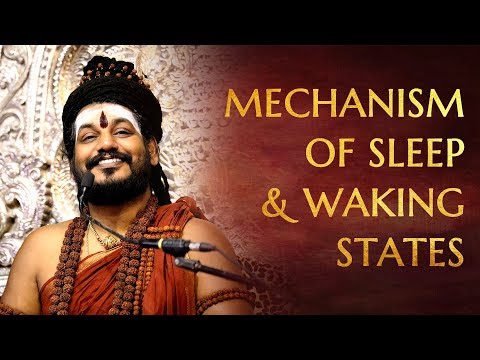 Mechanics of Sleeping & Waking States - Why You Feel Lethargic After Waking Up
