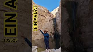 Download Lagu ein avdat MP3