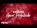 Grupo Bryndis - Amor Prohibido (Karaoke)