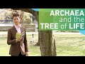 Archaea and the tree of life