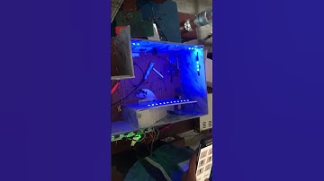 Smart Home with Google assistant