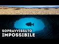 Perché il pesce più raro del mondo è intrappolato in un deserto del Nevada