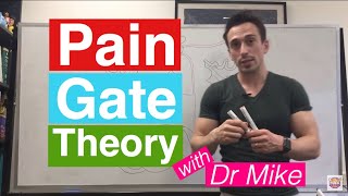 Pain Gate Theory