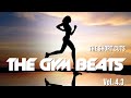 The gym beats vol43  the short cuts  nonstopmix   best  music for workout and motivation