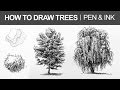 How to Draw Trees with Pen and Ink