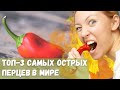 Топ 3 самых острых перцев в Мире