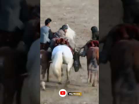 حاجی پهلوان سعدی با اسب توفان      