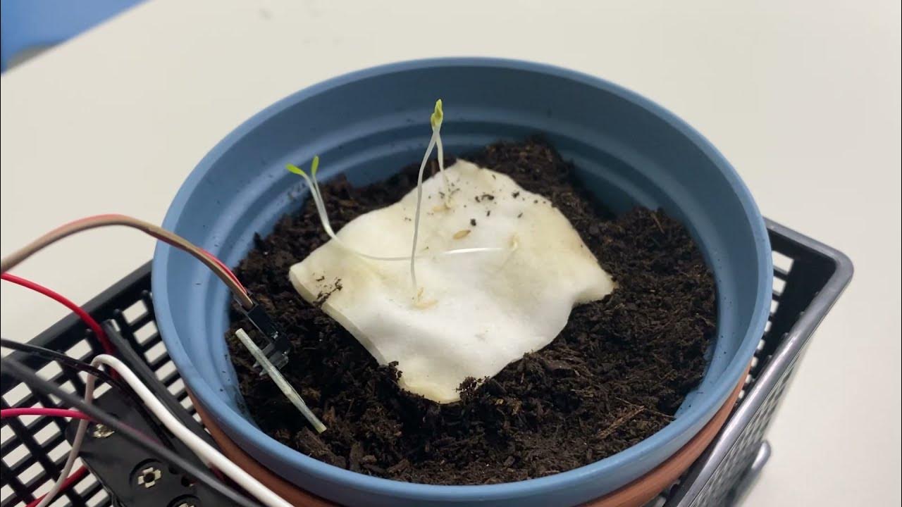 Smart Agriculture using Intergrated IoT system - Arduino Uno - YouTube
