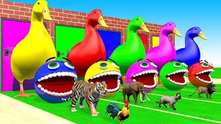 4 Giant Ducks Gorilla Cows Tigers Lions Elephant Fountain Crossing Animal Transforms Paint Animals