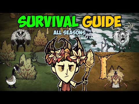 Ultimate Beginner Survival Guide (ALL Seasons) Don&rsquo;t Starve Together