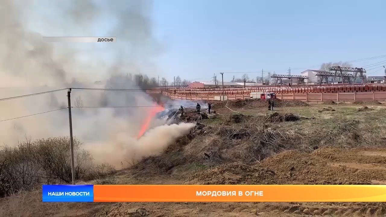 Логан в мордовии