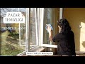 PAZAR TEMİZLİĞİ / CAMLARI TERTEMİZ YAPIYORUZ / Beraber Akşam Yemeği Hazırlayalım : ÇITIR TAVUK #vlog