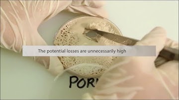 GEA ColdSteam T Pork